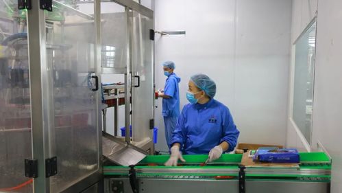 精河產業變形計 老工廠玩轉5G，土特產變身潮品